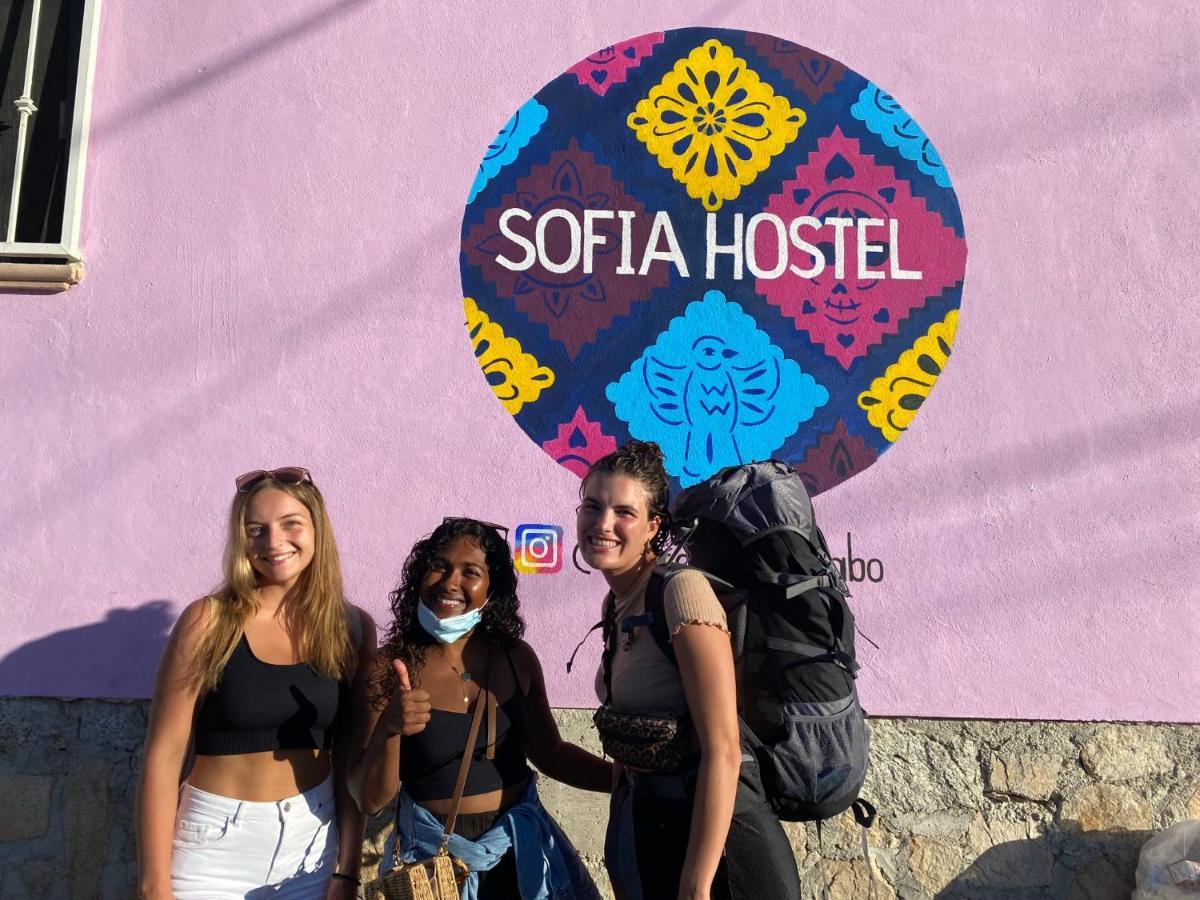 Sofia Hostel Cabo Cabo San Lucas Dış mekan fotoğraf