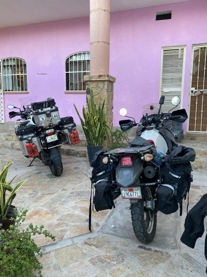 Sofia Hostel Cabo Cabo San Lucas Dış mekan fotoğraf