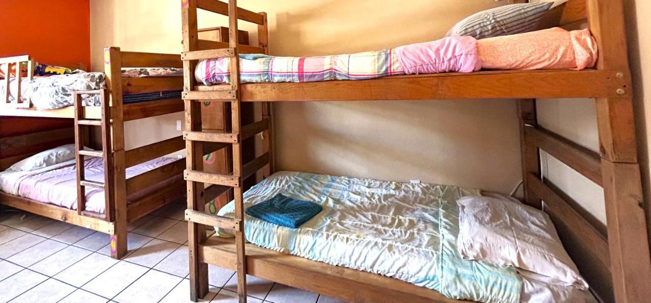 Sofia Hostel Cabo Cabo San Lucas Dış mekan fotoğraf