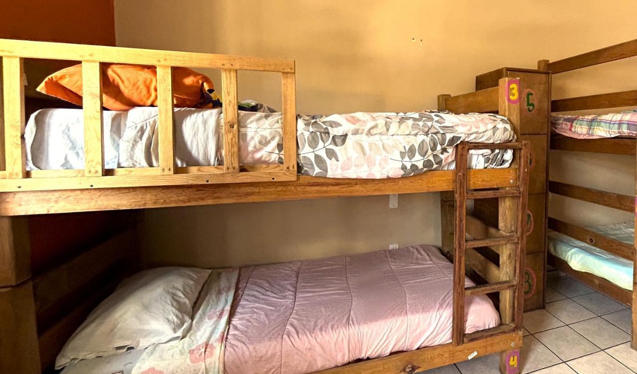 Sofia Hostel Cabo Cabo San Lucas Dış mekan fotoğraf