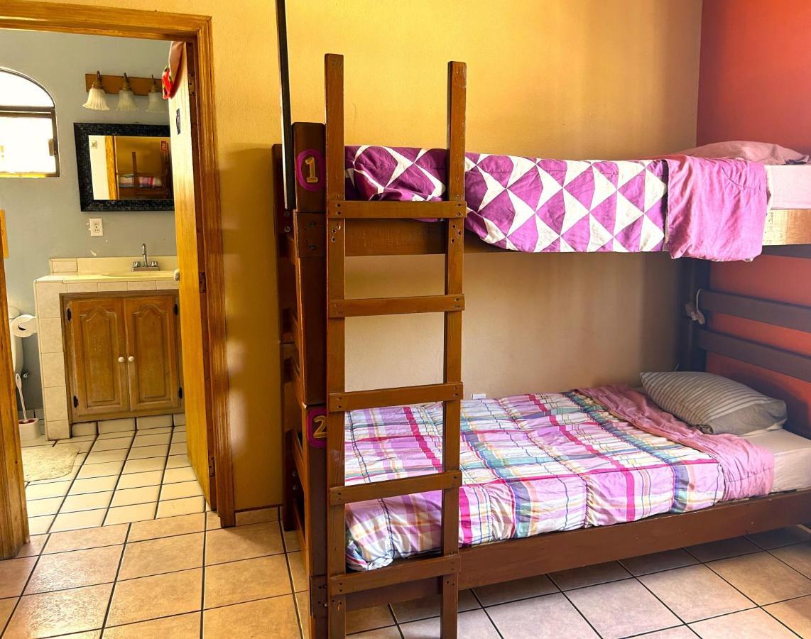 Sofia Hostel Cabo Cabo San Lucas Dış mekan fotoğraf